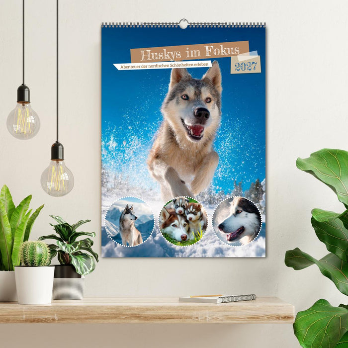 Huskys im Fokus (CALVENDO Wandkalender 2027)