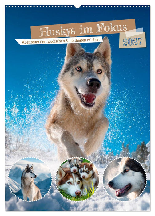 Huskys im Fokus (CALVENDO Wandkalender 2027)