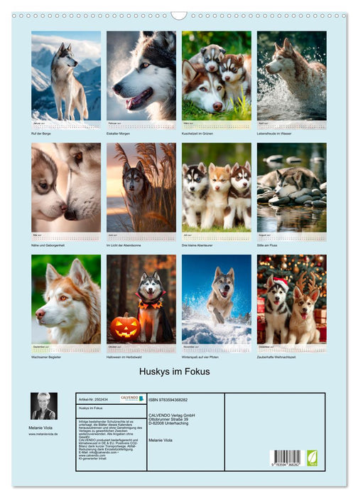 Huskys im Fokus (CALVENDO Wandkalender 2027)