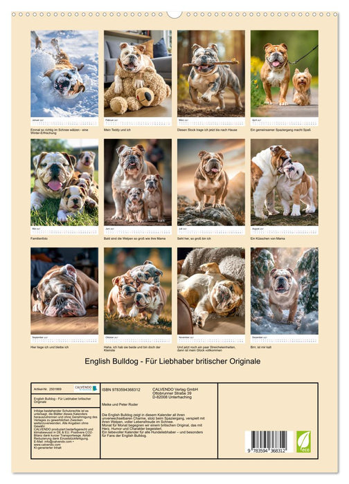 English Bulldog - Für Liebhaber britischer Originale (CALVENDO Premium Wandkalender 2027)