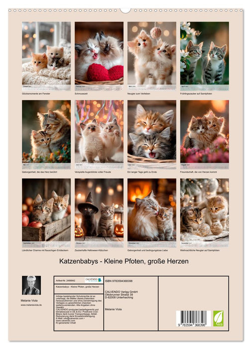 Katzenbabys - Kleine Pfoten, große Herzen (CALVENDO Premium Wandkalender 2027)