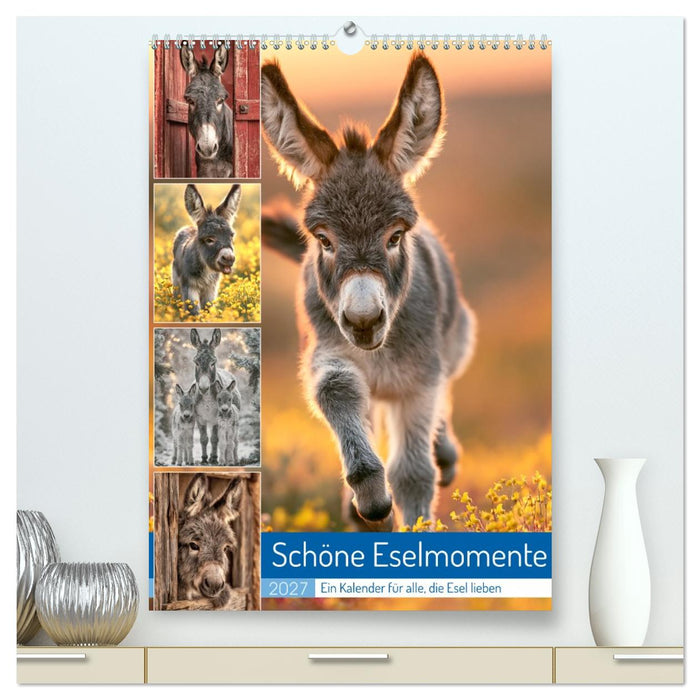 Schöne Eselmomente (CALVENDO Premium Wandkalender 2027)
