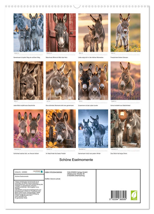 Schöne Eselmomente (CALVENDO Premium Wandkalender 2027)