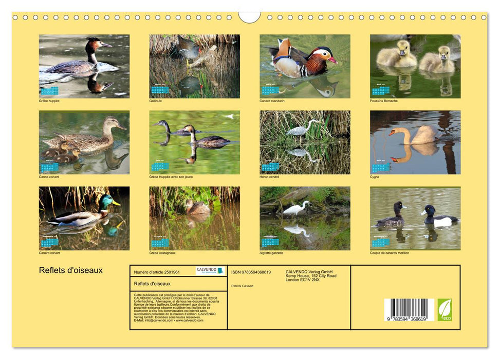 Reflets d'oiseaux (CALVENDO Calendrier mensuel 2027)