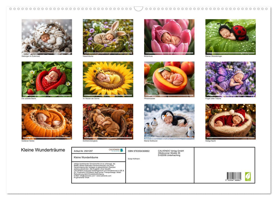 Kleine Wunderträume (CALVENDO Wandkalender 2027)