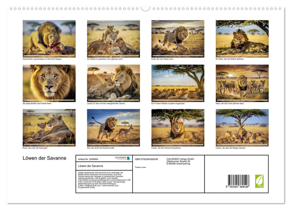 Löwen der Savanne (CALVENDO Premium Wandkalender 2027)