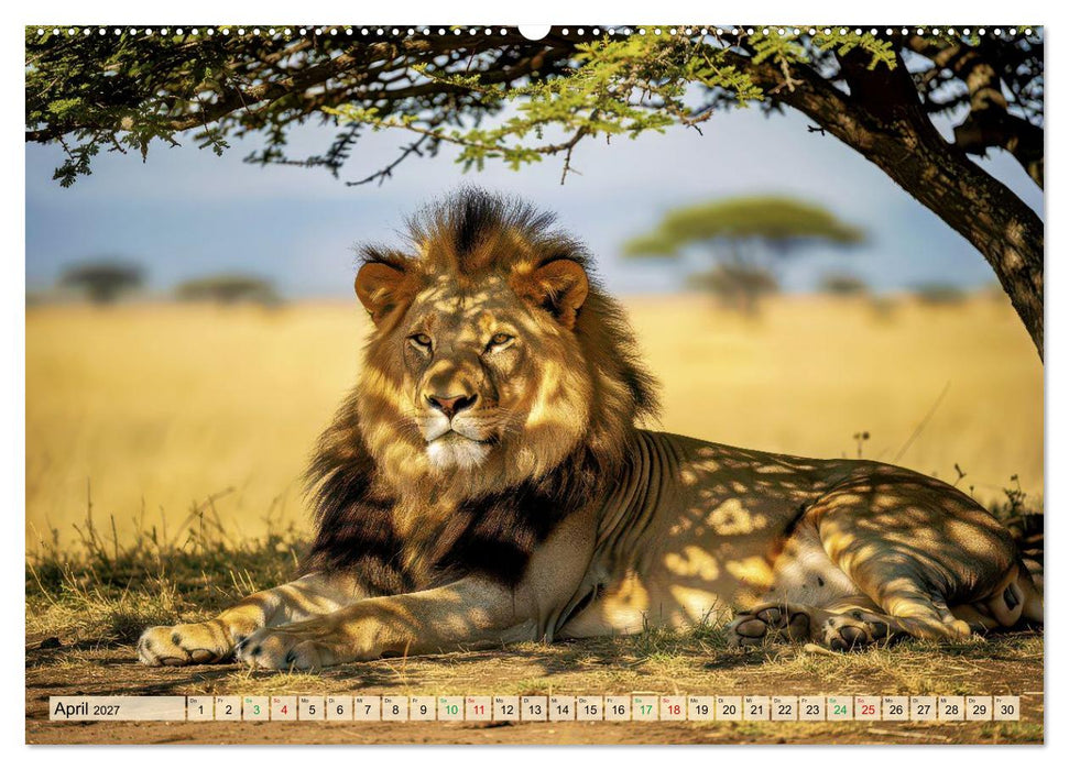 Löwen der Savanne (CALVENDO Premium Wandkalender 2027)