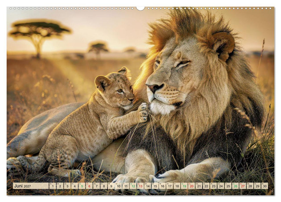 Löwen der Savanne (CALVENDO Premium Wandkalender 2027)