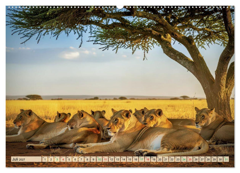 Löwen der Savanne (CALVENDO Premium Wandkalender 2027)