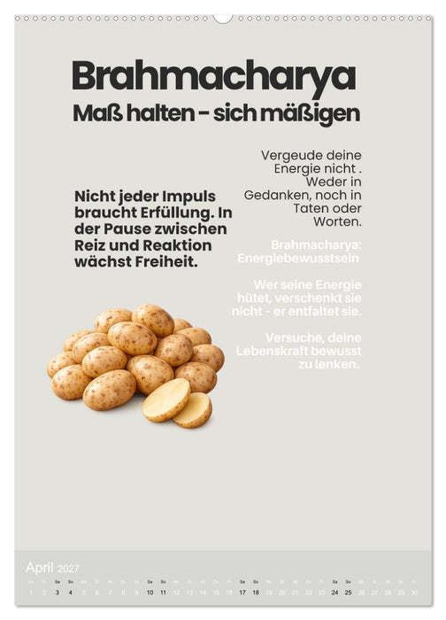 Kopfstand des Lebens - Yoga Roman (CALVENDO Premium Wandkalender 2027)