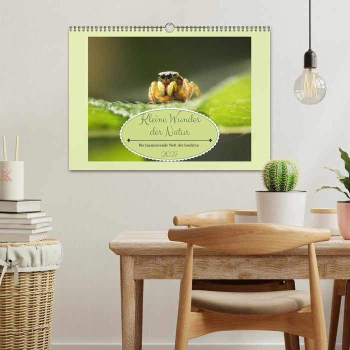 Die faszinierende Welt der Insekten (CALVENDO Wandkalender 2027)