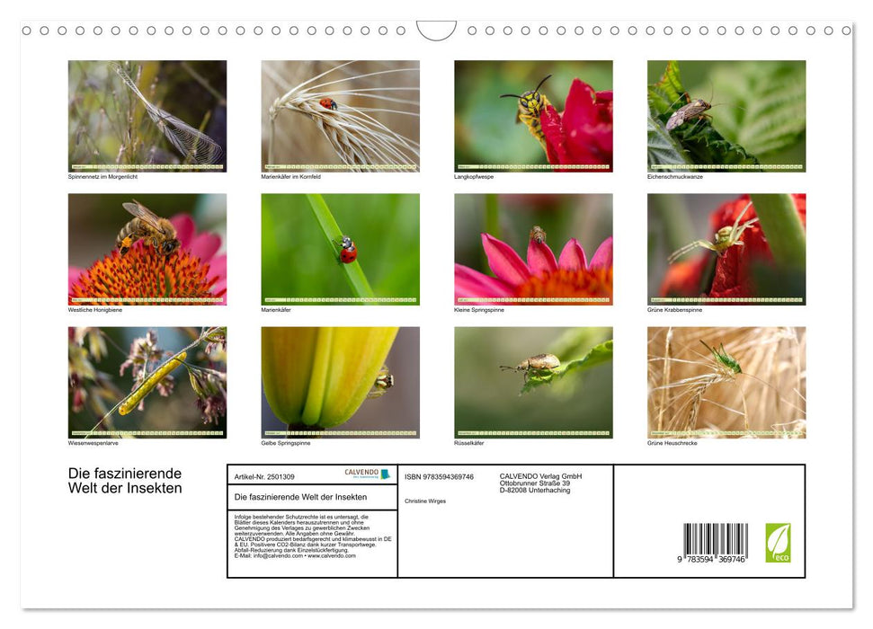 Die faszinierende Welt der Insekten (CALVENDO Wandkalender 2027)