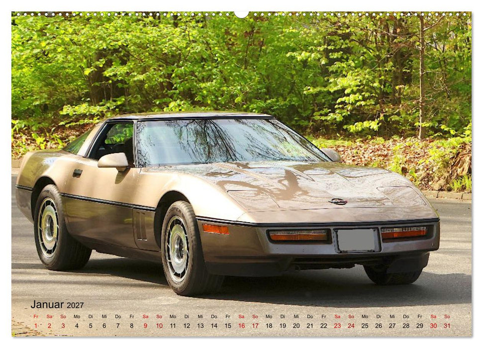 Legenden aus Amerika - Wahre Raritäten (CALVENDO Premium Wandkalender 2027)
