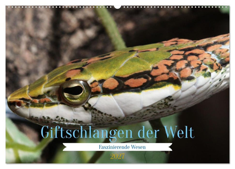 Giftschlangen der Welt (CALVENDO Wandkalender 2027)