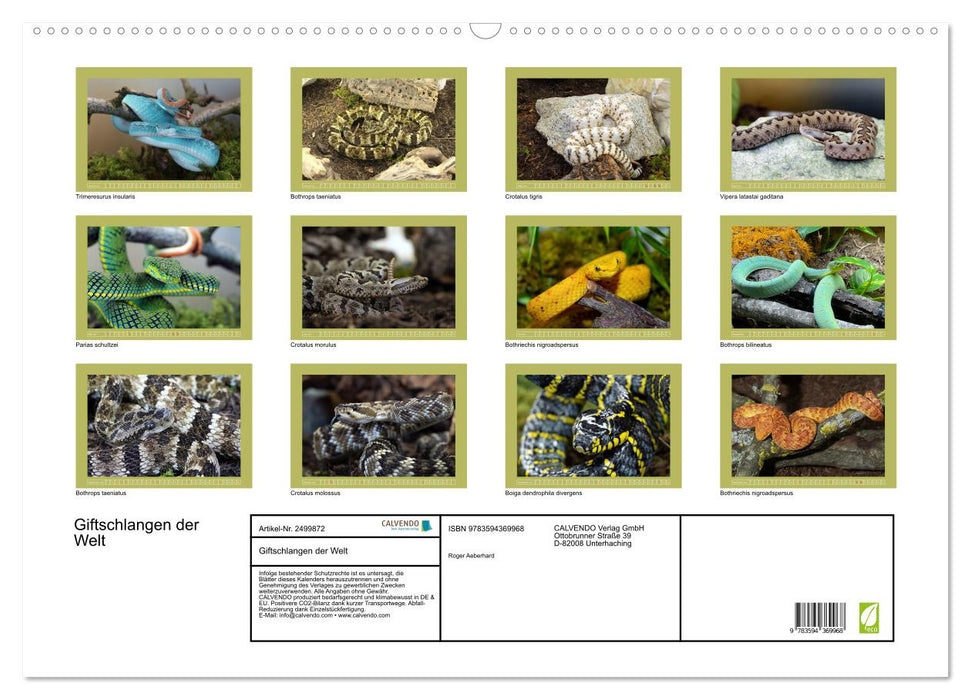 Giftschlangen der Welt (CALVENDO Wandkalender 2027)