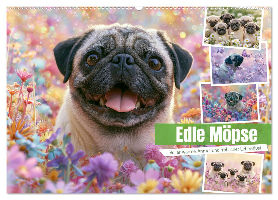 Edle Möpse (CALVENDO Wandkalender 2027)