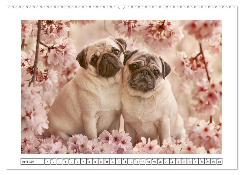 Edle Möpse (CALVENDO Wandkalender 2027)