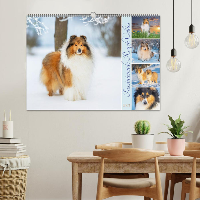 Faszinierende Rough Collies (CALVENDO Wandkalender 2027)
