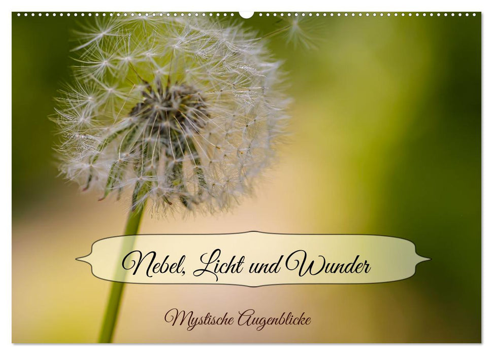 Nebel, Licht und Wunder (CALVENDO Wandkalender 2027)