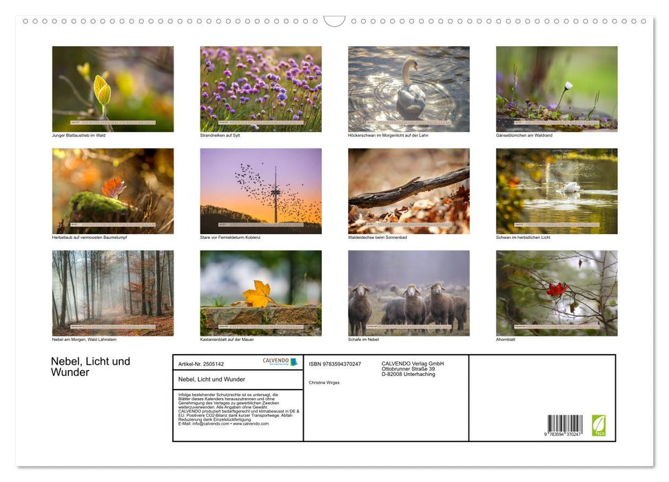 Nebel, Licht und Wunder (CALVENDO Wandkalender 2027)