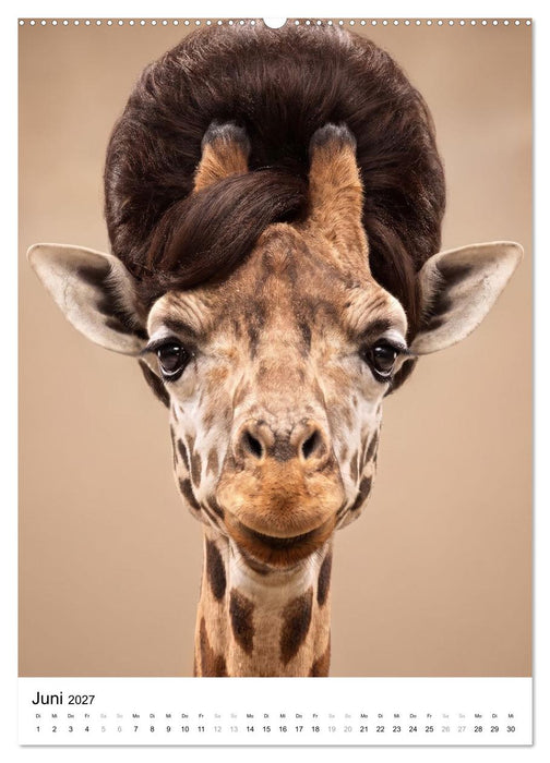 TIERISCH FRISIERT (CALVENDO Premium Wandkalender 2027)