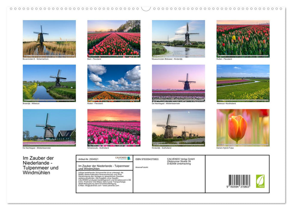 Im Zauber der Niederlande - Tulpenmeer und Windmühlen (CALVENDO Premium Wandkalender 2027)
