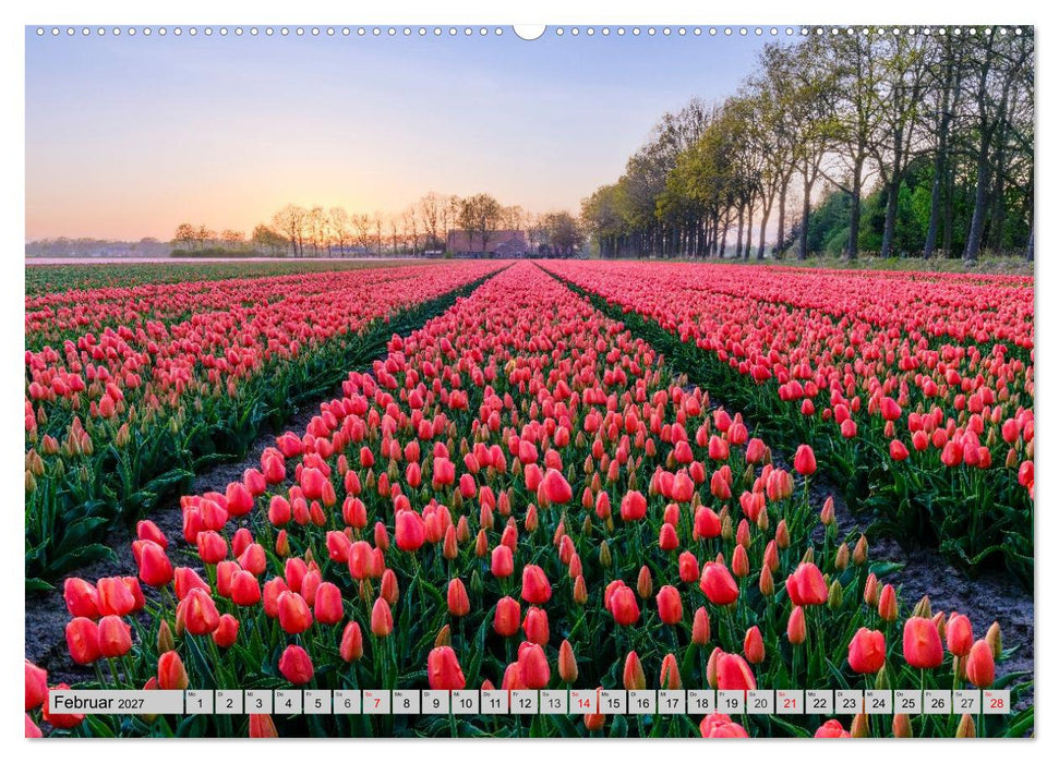 Im Zauber der Niederlande - Tulpenmeer und Windmühlen (CALVENDO Premium Wandkalender 2027)