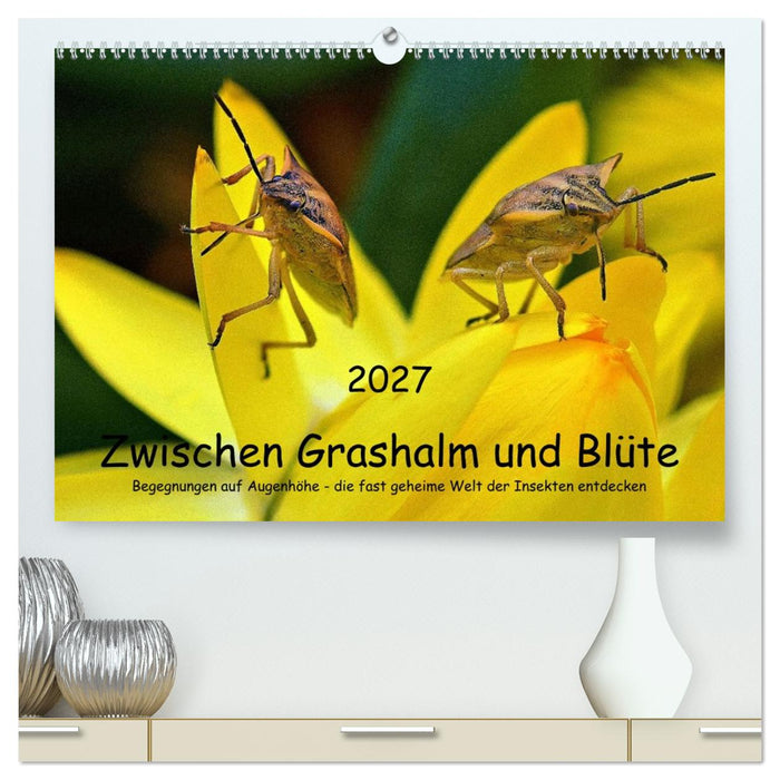 Zwischen Grashalm und Blüte (CALVENDO Premium Wandkalender 2027)