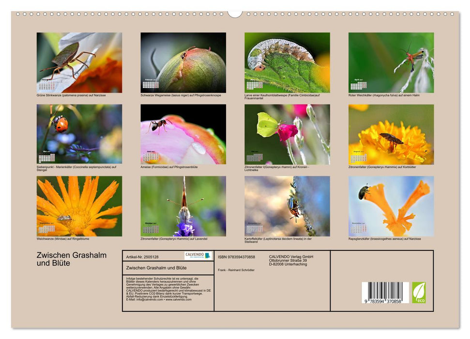 Zwischen Grashalm und Blüte (CALVENDO Premium Wandkalender 2027)