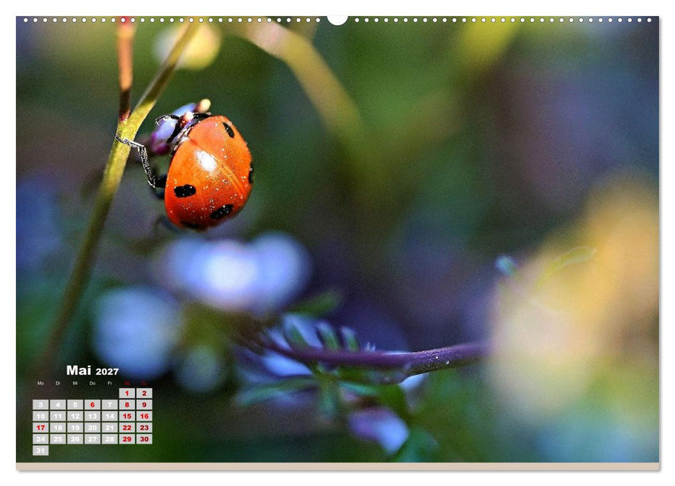 Zwischen Grashalm und Blüte (CALVENDO Premium Wandkalender 2027)