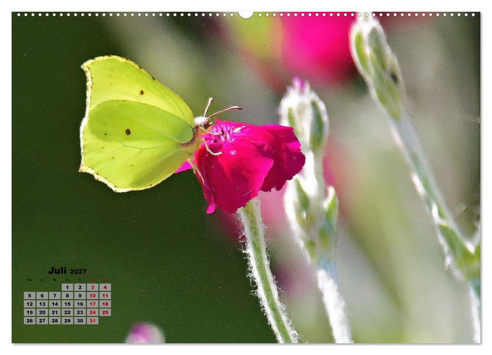 Zwischen Grashalm und Blüte (CALVENDO Premium Wandkalender 2027)