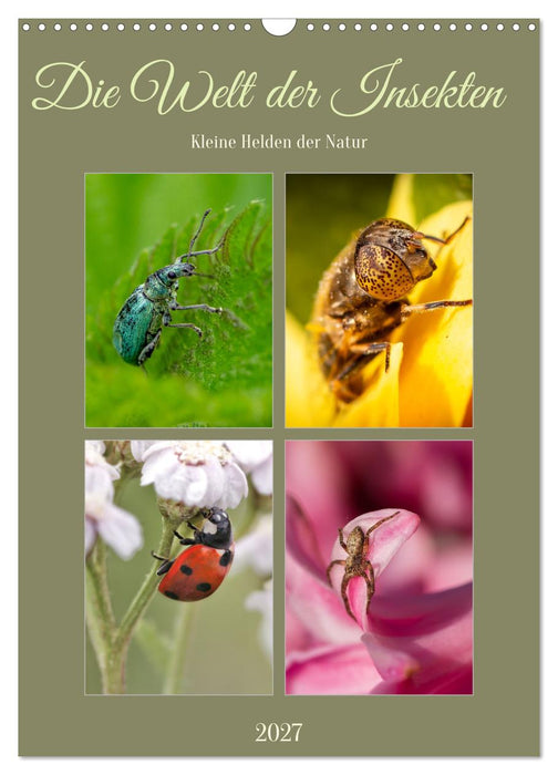 Die Welt der Insekten (CALVENDO Wandkalender 2027)