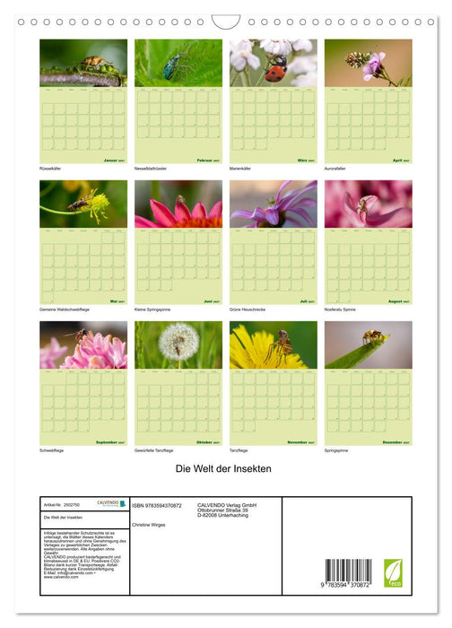Die Welt der Insekten (CALVENDO Wandkalender 2027)