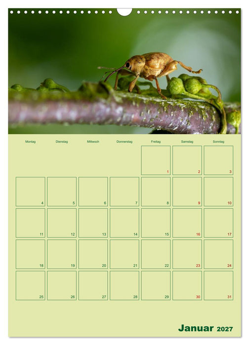 Die Welt der Insekten (CALVENDO Wandkalender 2027)