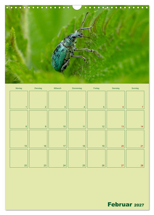 Die Welt der Insekten (CALVENDO Wandkalender 2027)