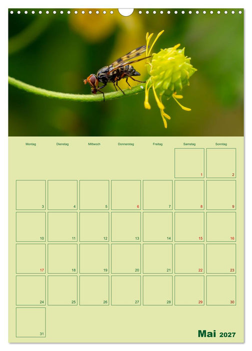 Die Welt der Insekten (CALVENDO Wandkalender 2027)