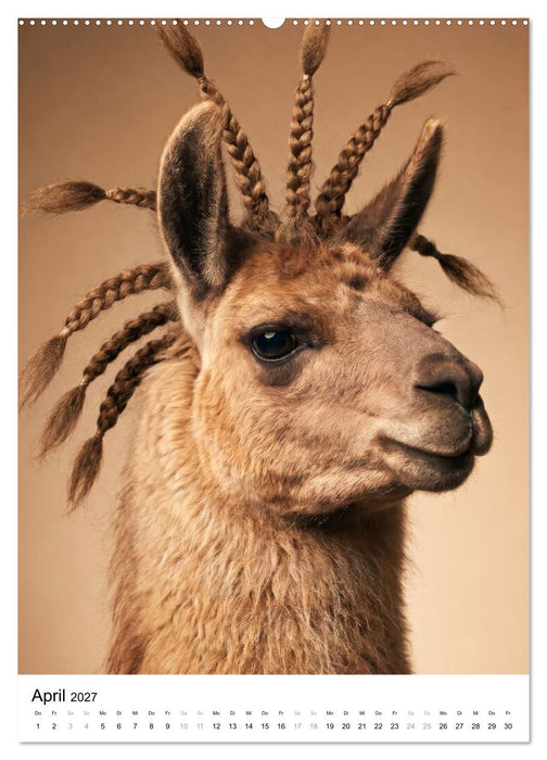 TIERISCH FRISIERT (CALVENDO Wandkalender 2027)