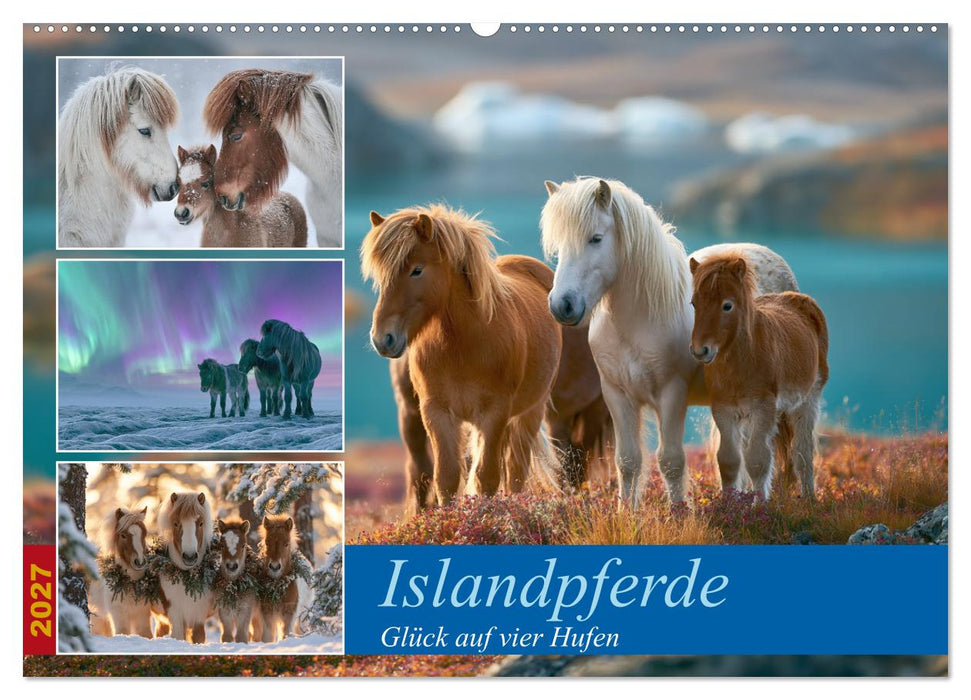 Islandpferde (CALVENDO Wandkalender 2027)
