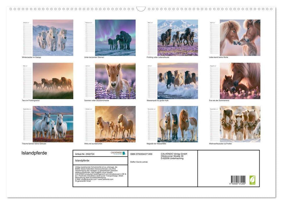 Islandpferde (CALVENDO Wandkalender 2027)