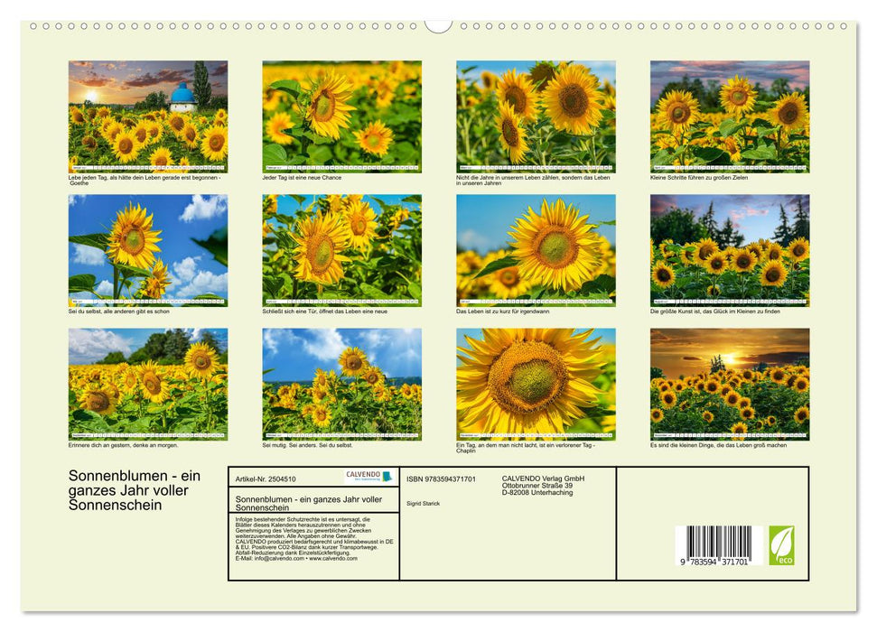 Sonnenblumen - ein ganzes Jahr voller Sonnenschein (CALVENDO Premium Wandkalender 2027)