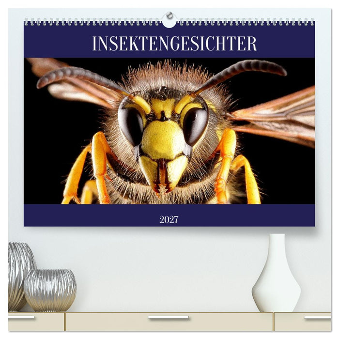 INSEKTENGESICHTER (CALVENDO Premium Wandkalender 2027)