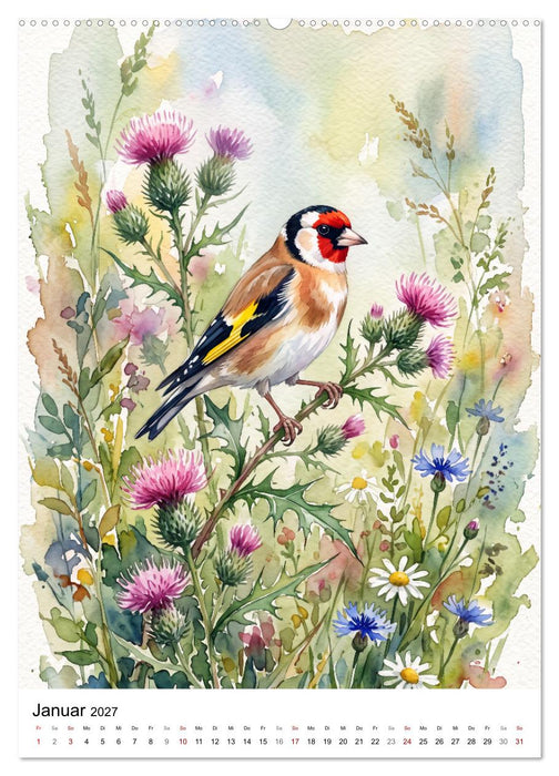 Gefiederte Sänger der Natur (CALVENDO Premium Wandkalender 2027)