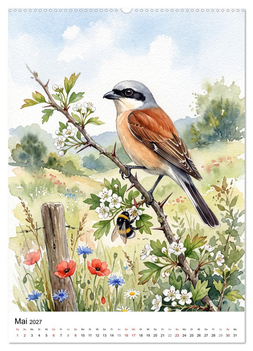 Gefiederte Sänger der Natur (CALVENDO Premium Wandkalender 2027)