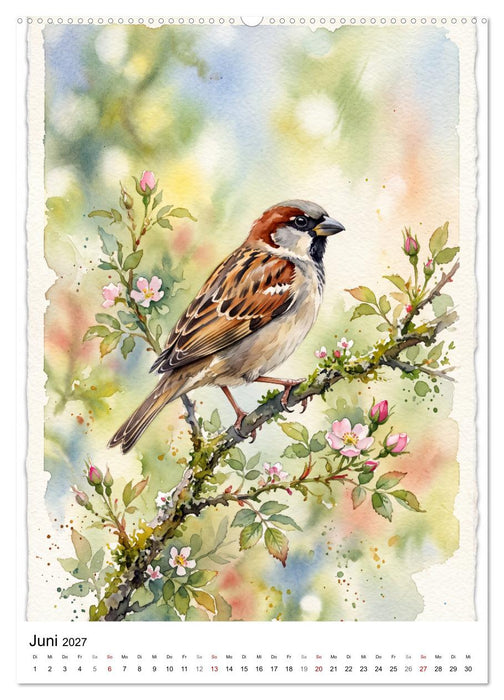 Gefiederte Sänger der Natur (CALVENDO Premium Wandkalender 2027)