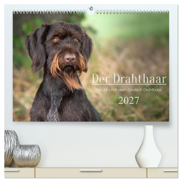 Der Drahthaar (CALVENDO Premium Wandkalender 2027)