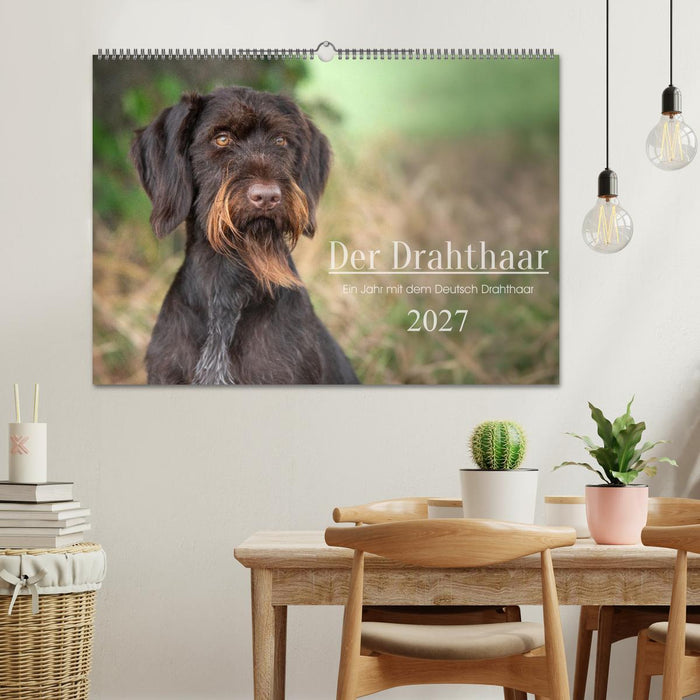 Der Drahthaar (CALVENDO Wandkalender 2027)