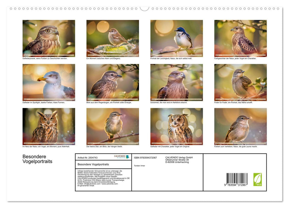 Besondere Vogelportraits (CALVENDO Premium Wandkalender 2027)