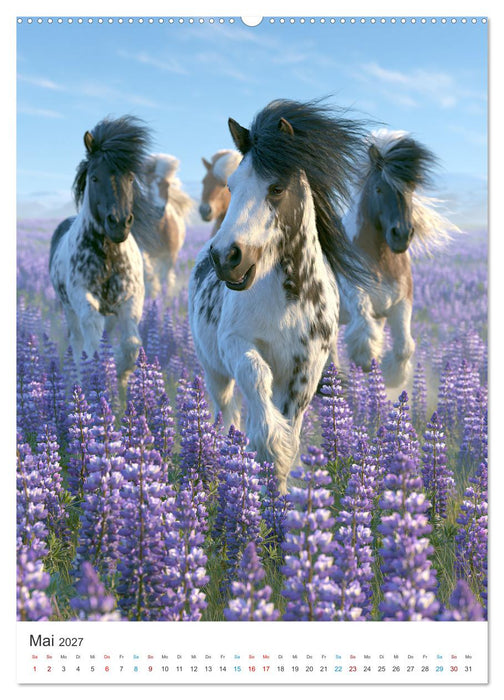 Islands wilde Pferde (CALVENDO Premium Wandkalender 2027)