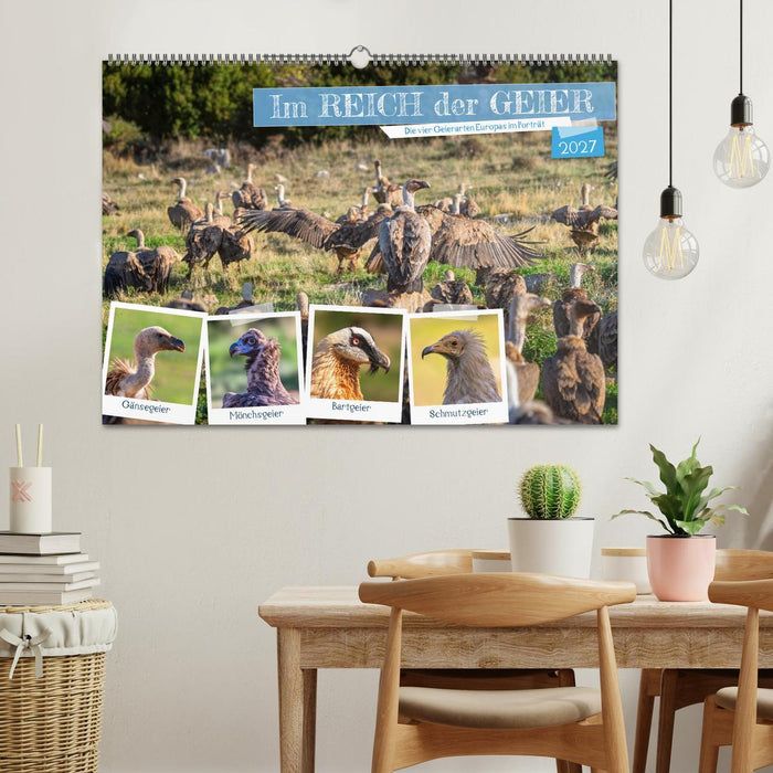 Im REICH der GEIER - Die 4 Geierarten Europas im Portrait (CALVENDO Wandkalender 2027)