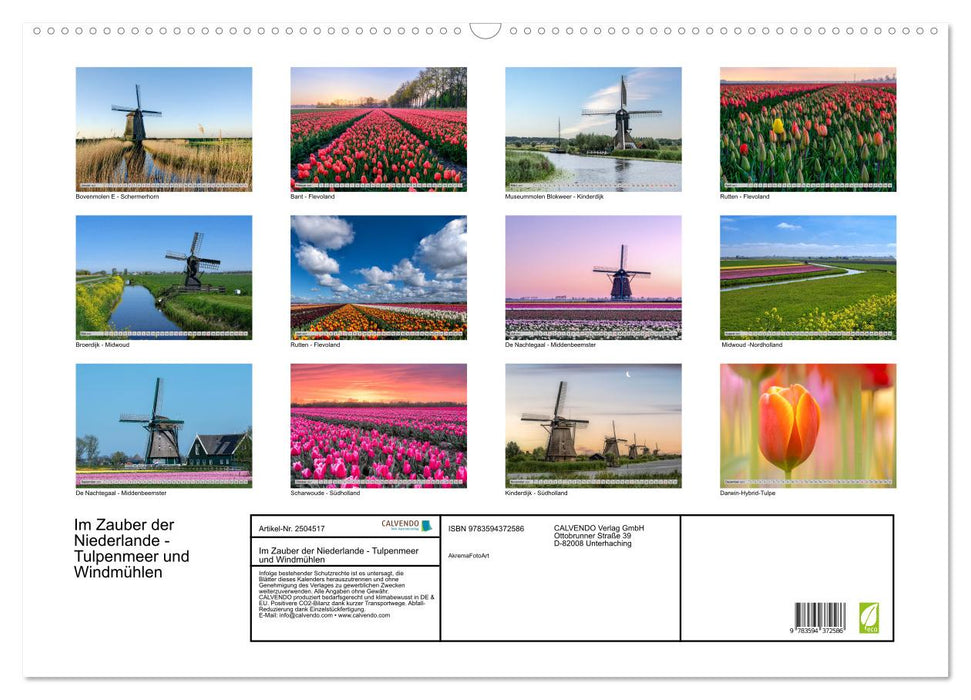 Im Zauber der Niederlande - Tulpenmeer und Windmühlen (CALVENDO Wandkalender 2027)